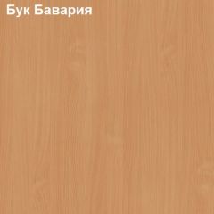 Антресоль для узкого шкафа Логика Л-14.2 в Уфе - ufa.mebel24.online | фото 2