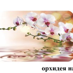 БОСТОН - 2 опоры Брифинг в Уфе - ufa.mebel24.online | фото 4