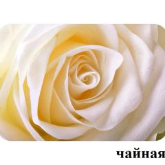 БОСТОН - 2 опоры Брифинг в Уфе - ufa.mebel24.online | фото 13