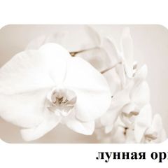 БОСТОН - 2 опоры Брифинг в Уфе - ufa.mebel24.online | фото 25