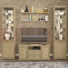 Гостиная Карина Композиция 13 (Гикори Джексон светлый) в Уфе - ufa.mebel24.online | фото