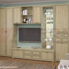Гостиная Карина Композиция 21 (Гикори Джексон светлый) в Уфе - ufa.mebel24.online | фото 6
