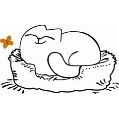 Кровать двухуровневая Кот № 900.1 ЛЕВАЯ (туя светлая/белый) в Уфе - ufa.mebel24.online | фото 2