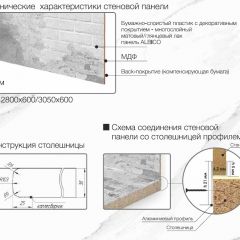 Кухонный фартук со столешницей (А-010) в едином стиле (3050 мм) в Уфе - ufa.mebel24.online | фото 6