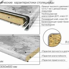 Кухонный фартук со столешницей (А-03) в едином стиле (3050 мм) в Уфе - ufa.mebel24.online | фото 6