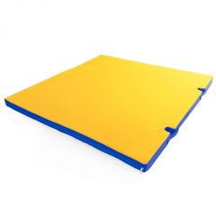 Мат гимнастический 1х1х0,05м с вырезом под стойки цв. синий-желтый в Уфе - ufa.mebel24.online | фото