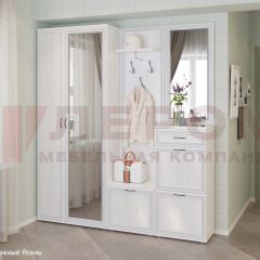 Прихожая Карина композиция 1 (Снежный ясень) в Уфе - ufa.mebel24.online | фото