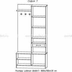 Прихожая София 1 в Уфе - ufa.mebel24.online | фото 3