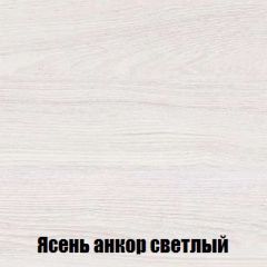Шкаф 2-х створчатый МСП-1 (Ясень Анкор светлый) в Уфе - ufa.mebel24.online | фото 4