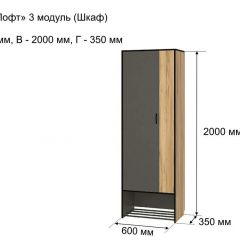 ОЛЬГА-ЛОФТ 3 Шкаф 2-х створчатый в Уфе - ufa.mebel24.online | фото 4