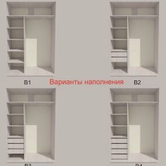 Шкаф-купе 1300 серии SILVER S3+S4+B2+PL4 (2 ящика+F обр.штанга) профиль «Серебро» в Уфе - ufa.mebel24.online | фото 5