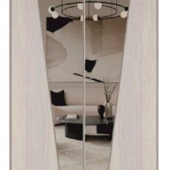 Шкаф-купе 1500 серии SILVER S1+S1+B2+PL2 (2 ящика+1 штанга+1 полка) профиль «Серебро» в Уфе - ufa.mebel24.online | фото 12