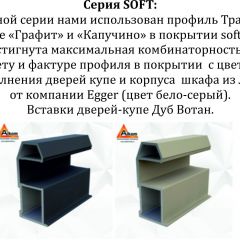 Шкаф-купе 1600 серии SOFT D6+D6+B2+PL3 (2 ящика+2штанги) профиль «Капучино» в Уфе - ufa.mebel24.online | фото 12