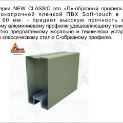 Шкаф-купе 1700 серии NEW CLASSIC K2+K2+B2+PL2(2 ящика+1 штанга+1 полка) профиль «Капучино» в Уфе - ufa.mebel24.online | фото 17