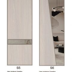 Шкаф-купе 1950 серии SILVER S3+S1+S4 B22+PL3 (по 2 ящика лев/прав+2 штанги) профиль «Серебро» в Уфе - ufa.mebel24.online | фото 14