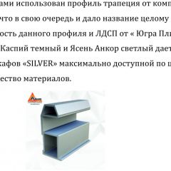 Шкаф-купе 1950 серии SILVER S3+S1+S4 B22+PL3 (по 2 ящика лев/прав+2 штанги) профиль «Серебро» в Уфе - ufa.mebel24.online | фото 4