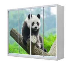 Шкаф-купе ХИТ 23-4-24/2-7777 (420) в Уфе - ufa.mebel24.online | фото
