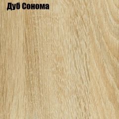 Шкаф-купе Лофт 3000 Шк30-47 (Дуб Сонома) в Уфе - ufa.mebel24.online | фото 4
