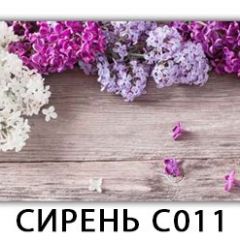 Стол раздвижной Трилогия с фотопечатью Орхидея C013 в Уфе - ufa.mebel24.online | фото 16