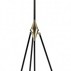Светильник на штанге Lightstar Modena 816047 в Уфе - ufa.mebel24.online | фото