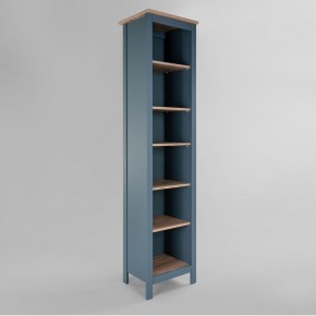 2.08.07.100.16 САГА стеллаж 50 темно-бирюзовый/ясень RU в Уфе - ufa.mebel24.online | фото
