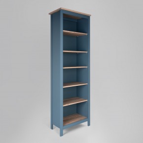 2.08.07.110.16 САГА стеллаж 70 темно-бирюзовый/ясень RU в Уфе - ufa.mebel24.online | фото