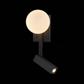 Бра с подсветкой ST-Luce Botelli SL1581.401.02 в Уфе - ufa.mebel24.online | фото
