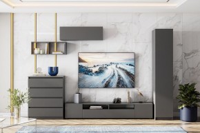 ДЕНВЕР Пенал (Графит серый) в Уфе - ufa.mebel24.online | фото 4