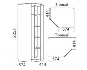 Детская Фанк Шкаф угловой Левый/Правый НМ 013.04-02 М в Уфе - ufa.mebel24.online | фото 3