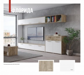 ФЛОРИДА Гостиная (модульная) дуб серый/белый в Уфе - ufa.mebel24.online | фото