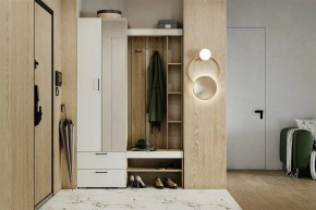Гарнитур для прихожей Торонто в Уфе - ufa.mebel24.online | фото 5