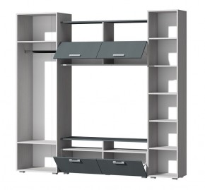 Гостиная Эмми (Анкор светлый/Графит) в Уфе - ufa.mebel24.online | фото 3