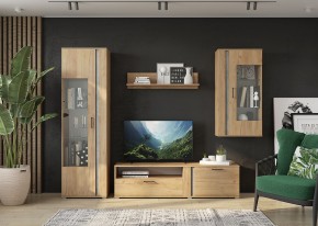 Гостиная Омега (Крафт золотой-Бетон) в Уфе - ufa.mebel24.online | фото