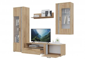 Гостиная Омега (Крафт золотой-Бетон) в Уфе - ufa.mebel24.online | фото 4