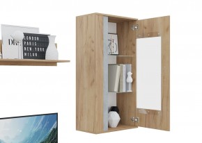 Гостиная Омега (Крафт золотой-Бетон) в Уфе - ufa.mebel24.online | фото 6
