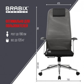 Кресло офисное BRABIX PREMIUM "Ultimate EX-801" хром, плотная двойная сетка Х2, черное/серое, 532918 в Уфе - ufa.mebel24.online | фото 5