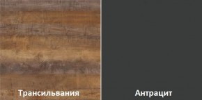 Кухонный гарнитур угловой Трансильвания 2600х1600 мм (Стол. 26 мм) в Уфе - ufa.mebel24.online | фото 3