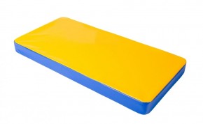 Мат гимнастический 1х0,5х0,08м цв. синий-желтый в Уфе - ufa.mebel24.online | фото