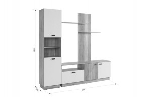 МОДИ К1 Гостиная (белое дерево) в Уфе - ufa.mebel24.online | фото 2