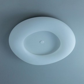 Накладной светильник Citilux Стратус Смарт CL732A800G в Уфе - ufa.mebel24.online | фото 10