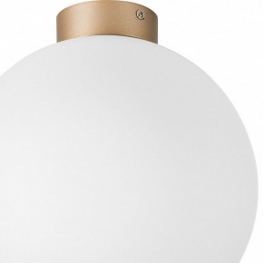 Накладной светильник Lightstar Globo 812033 в Уфе - ufa.mebel24.online | фото 2
