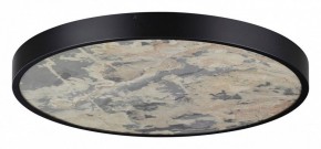 Накладной светильник Odeon Light Bergi 5064/50L в Уфе - ufa.mebel24.online | фото 3