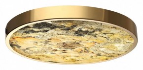 Накладной светильник Odeon Light Bergi 5079/40L в Уфе - ufa.mebel24.online | фото 2