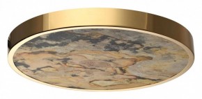 Накладной светильник Odeon Light Bergi 5079/40L в Уфе - ufa.mebel24.online | фото 4