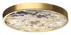 Накладной светильник Odeon Light Bergi 5079/40L в Уфе - ufa.mebel24.online | фото 6
