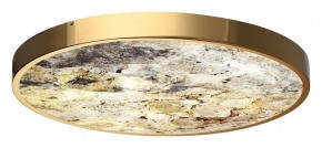 Накладной светильник Odeon Light Bergi 5079/50L в Уфе - ufa.mebel24.online | фото 5