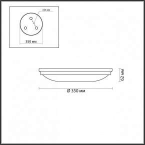 Накладной светильник Odeon Light Pelow 4957/4 в Уфе - ufa.mebel24.online | фото 3