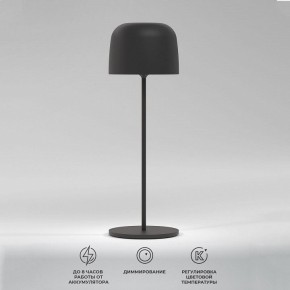 Настольная лампа декоративная Elektrostandard Bitty a069002 в Уфе - ufa.mebel24.online | фото 2