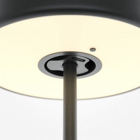 Настольная лампа декоративная Maytoni AI Collaboration MOD229TL-L3B3K2 в Уфе - ufa.mebel24.online | фото 5