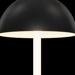 Настольная лампа декоративная Maytoni Ray Z012TL-L8B3K в Уфе - ufa.mebel24.online | фото 5